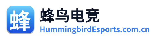 蜂鸟电竞